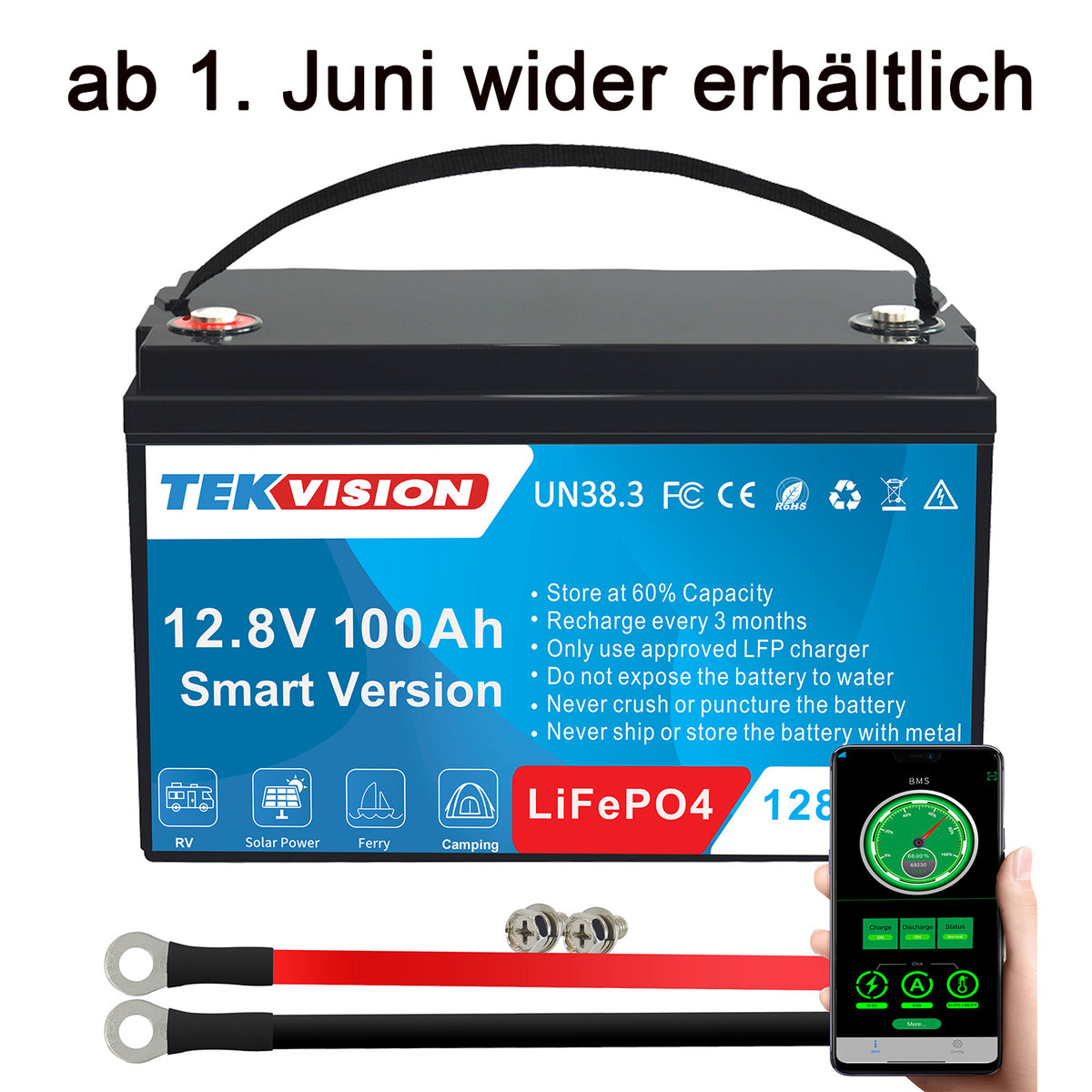 12V 100Ah Smart Lithium Batterie 19% MwSt