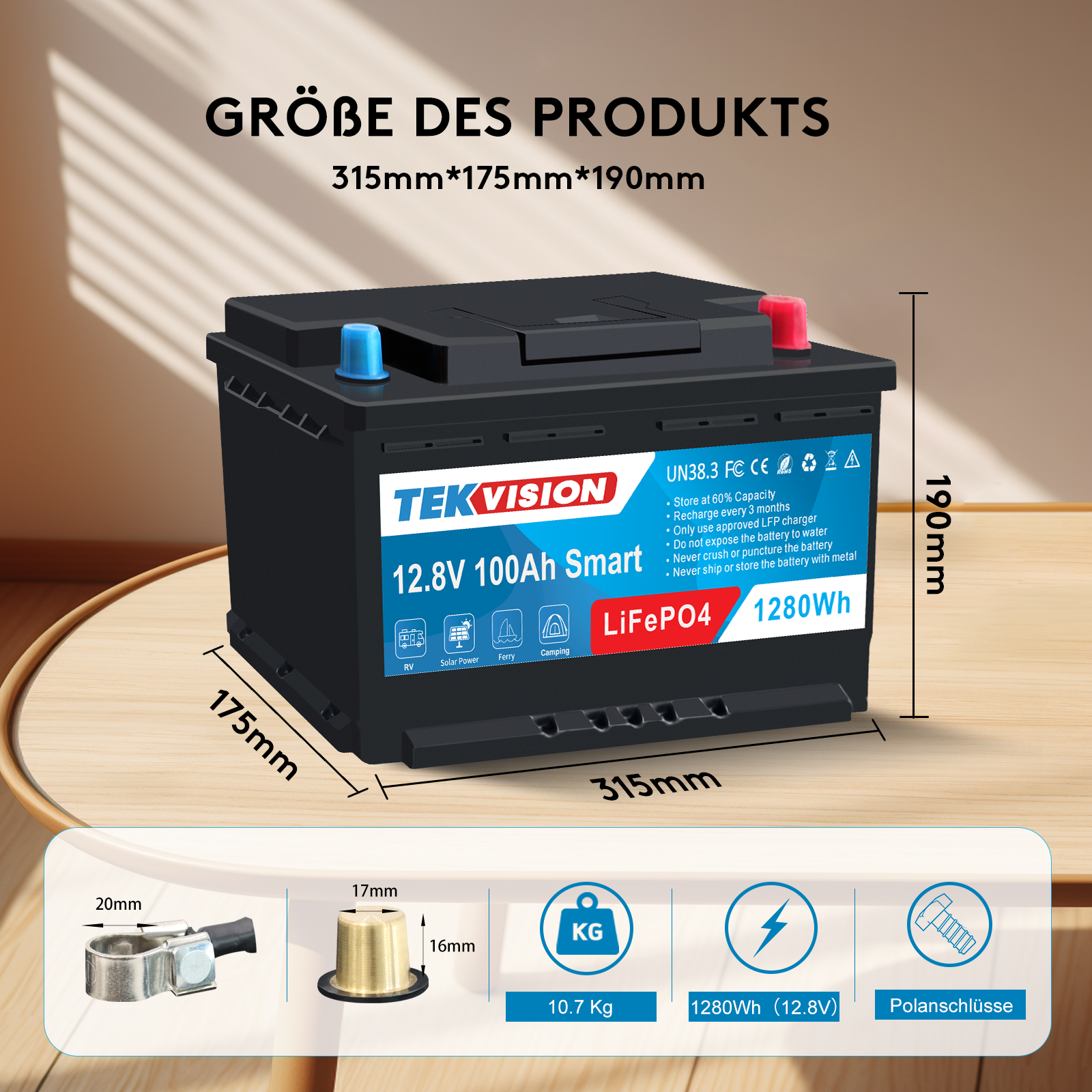 Tekvision LiFePO4 12V 100Ah H7 Lithium Batterie Bluetotoh Solarbatterie 19% MwSt .