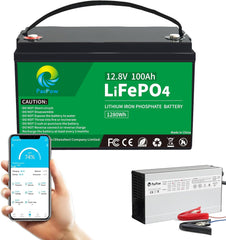 Pacpow LiFeP04 12V 100Ah Lithium Batterie BluetotohSolarbatterie 19% MwSt