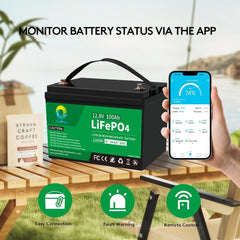 Pacpow LiFeP04 12V 100Ah Lithium Batterie BluetotohSolarbatterie 19% MwSt