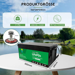 Pacpow LiFeP04 12V 200Ah Lithium Batterie BluetotohSolarbatterie 19% MwSt