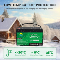 Pacpow LiFeP04 12V 100Ah Lithium Batterie BluetotohSolarbatterie 19% MwSt