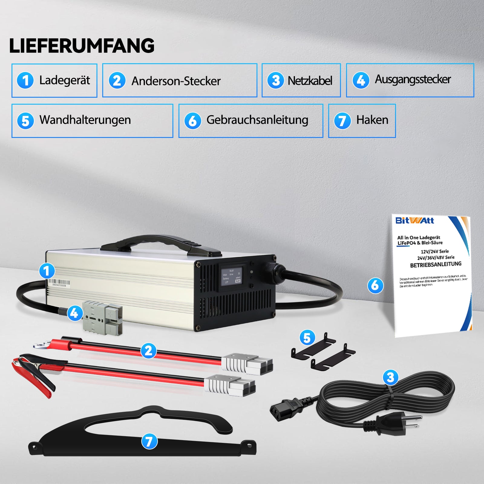Bitwatt 12V/24V All in One LiFePO4 & AGM Ladegerät, 6A–30A Einstellbar